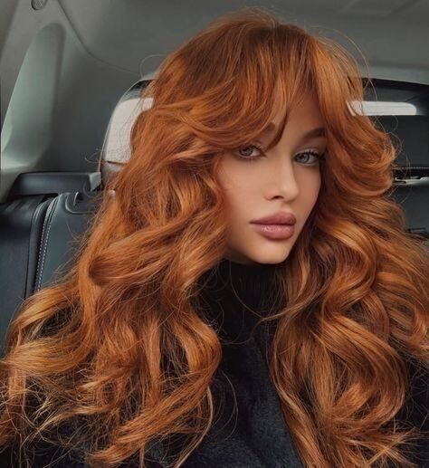 ���������� ������, ���� ������� �����, 23 ����, ������������ ��� ������, ����� � ���������, c�������� ���������, ���������