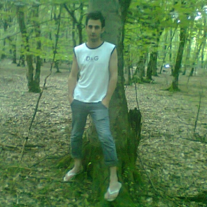  31274265  ALFA, 35 ,    