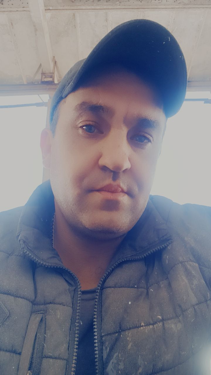  43813085  , 38 ,    