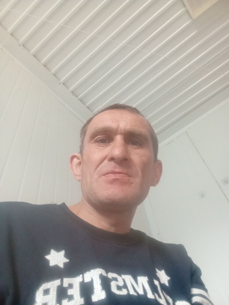  51513535  , 41 ,    