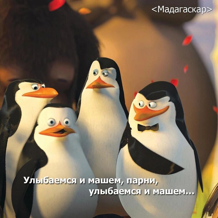 ���������� �����������, ���� ������� ����, 30 ���, ������������ ��� ������, ����� � ���������