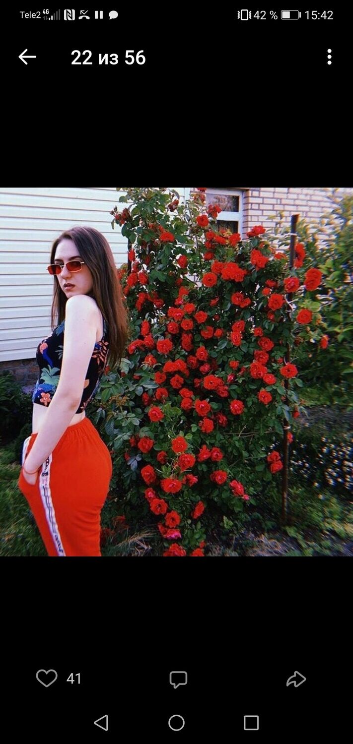 ���� 31301475 ������� �����, 28 ���, ���� ���������� � �������������