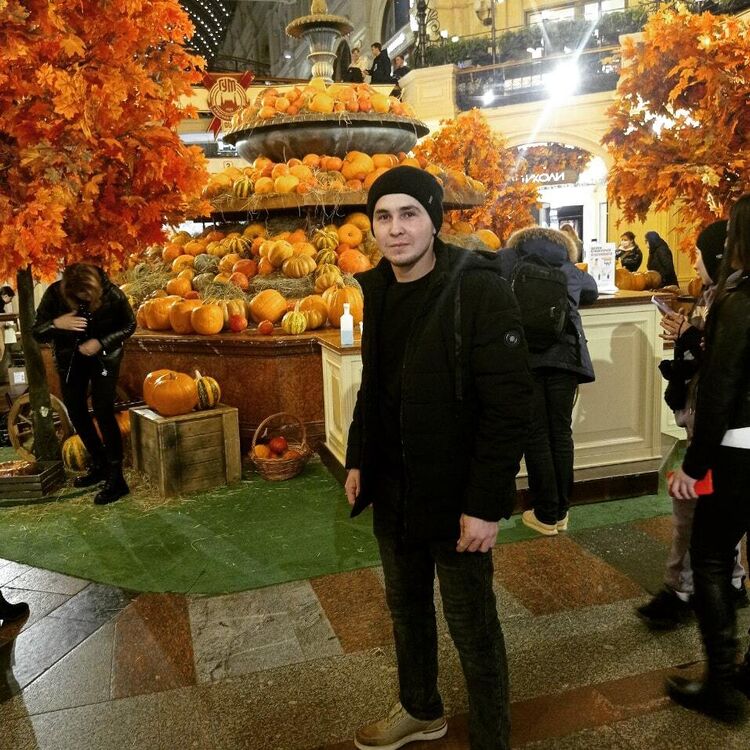 ���� 31631985 ����� �����, 24 ����, ���� ���������� � ������