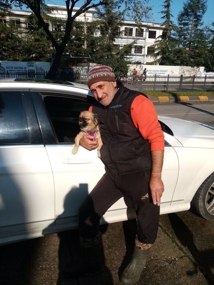  ?,   Kayhan fidan, 52 ,   ,   