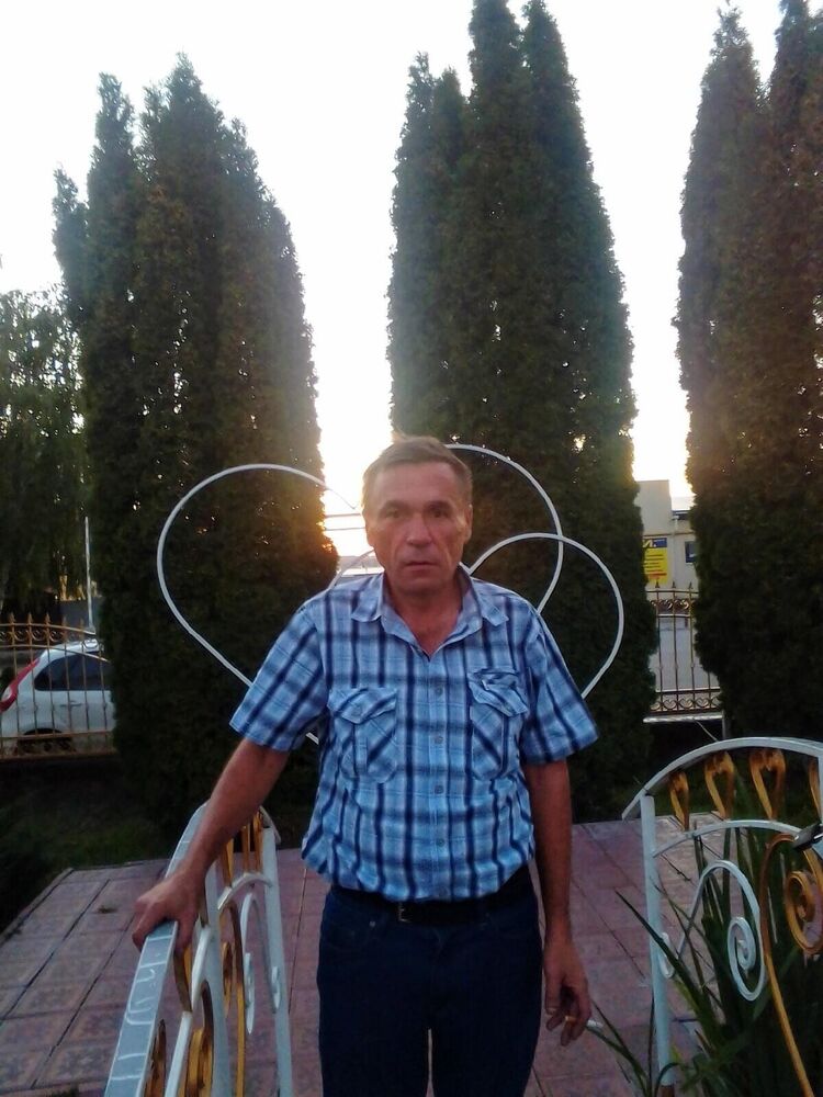  37300715  , 53 ,    