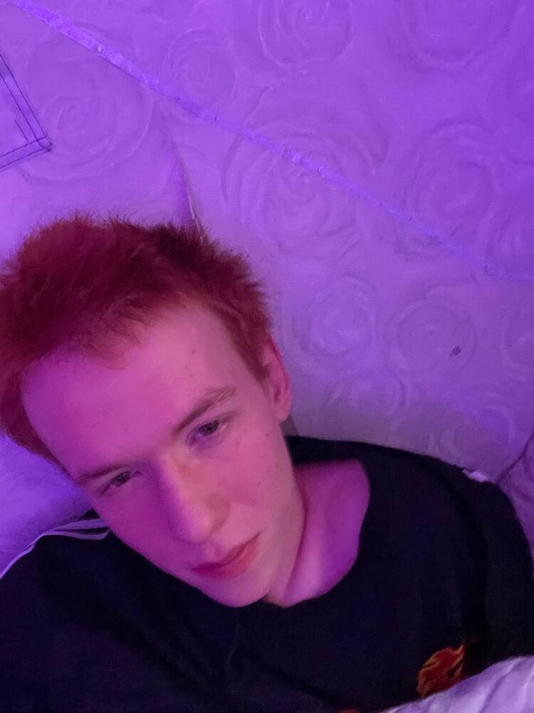 ���� 55623755 ������� ���������, 44 ����, ���� ���������� � ����������