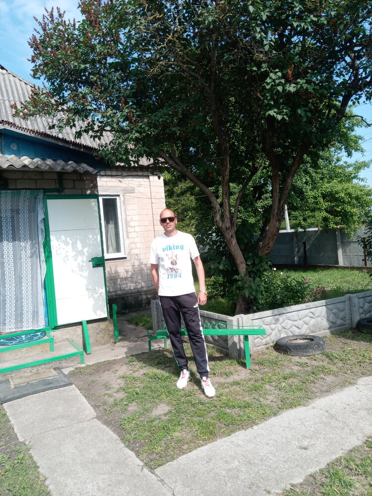  43329985  , 39 ,    
