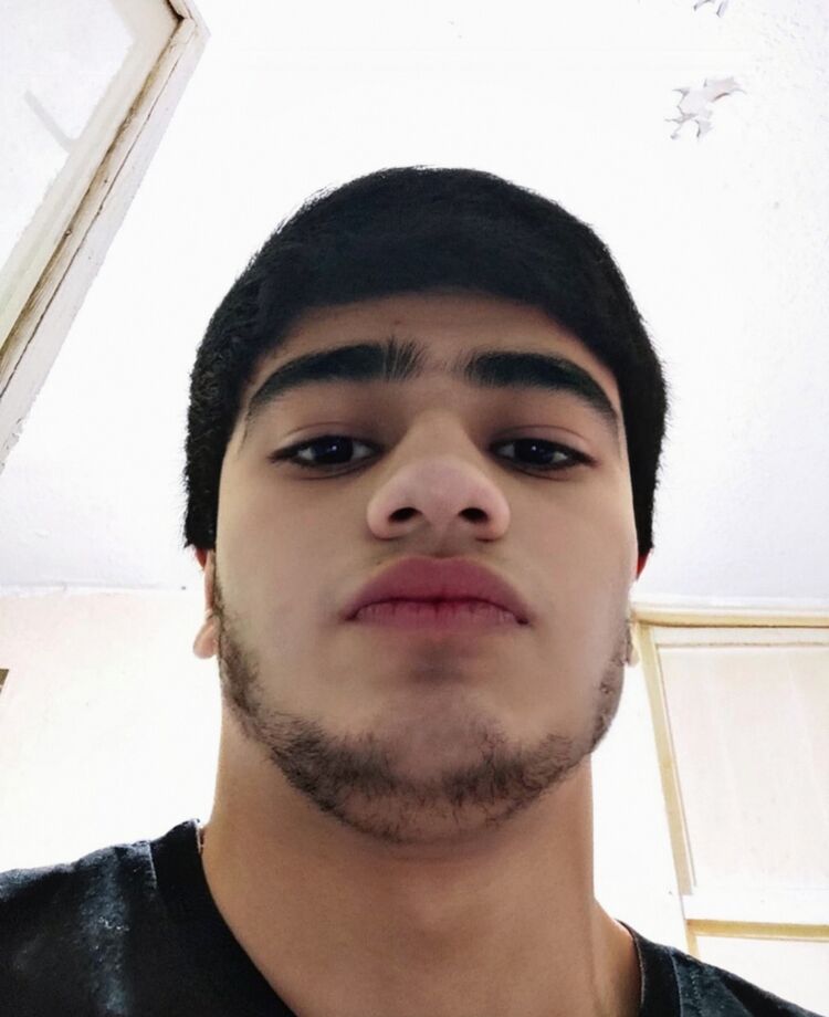 ���������� �������, ���� ����� Shox, 24 ����, ������������ ��� ������, ����� � ���������