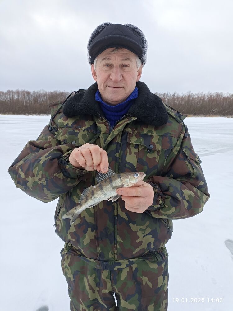  ,   , 66 ,   ,   
