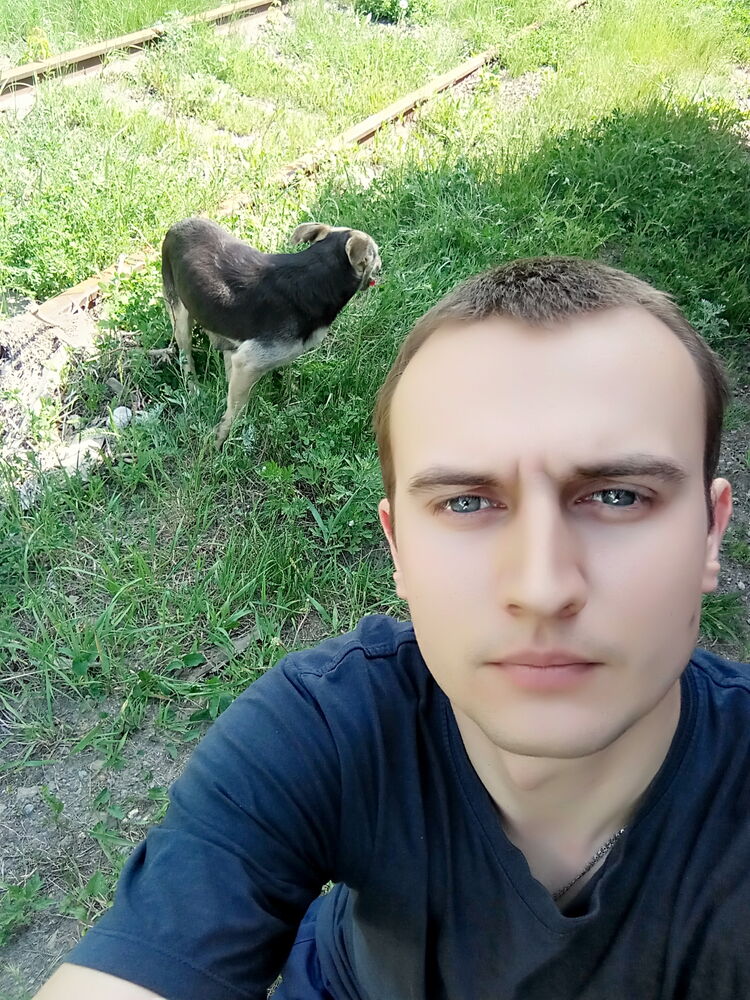  29551405  , 33 ,    