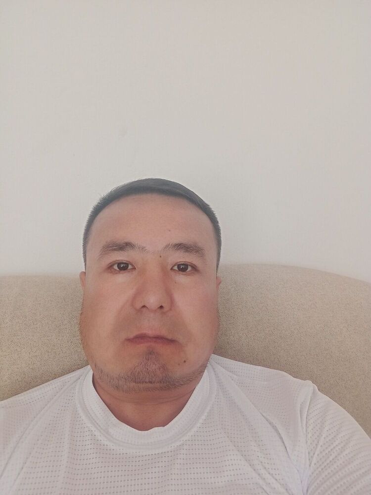  28838785  B E K, 38 ,    