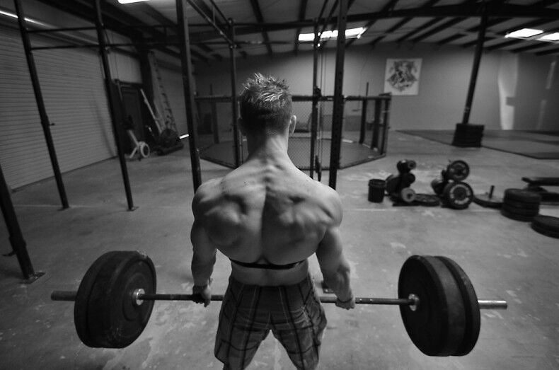 ���� 6637485 ������� ������, 44 ����, ���� ���������� � ������