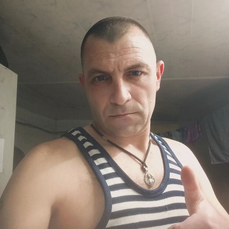  51431515  , 46 ,    