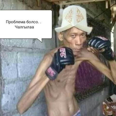 ���� 16815935 ������� ���, 36 ���, ���� ���������� � �������������