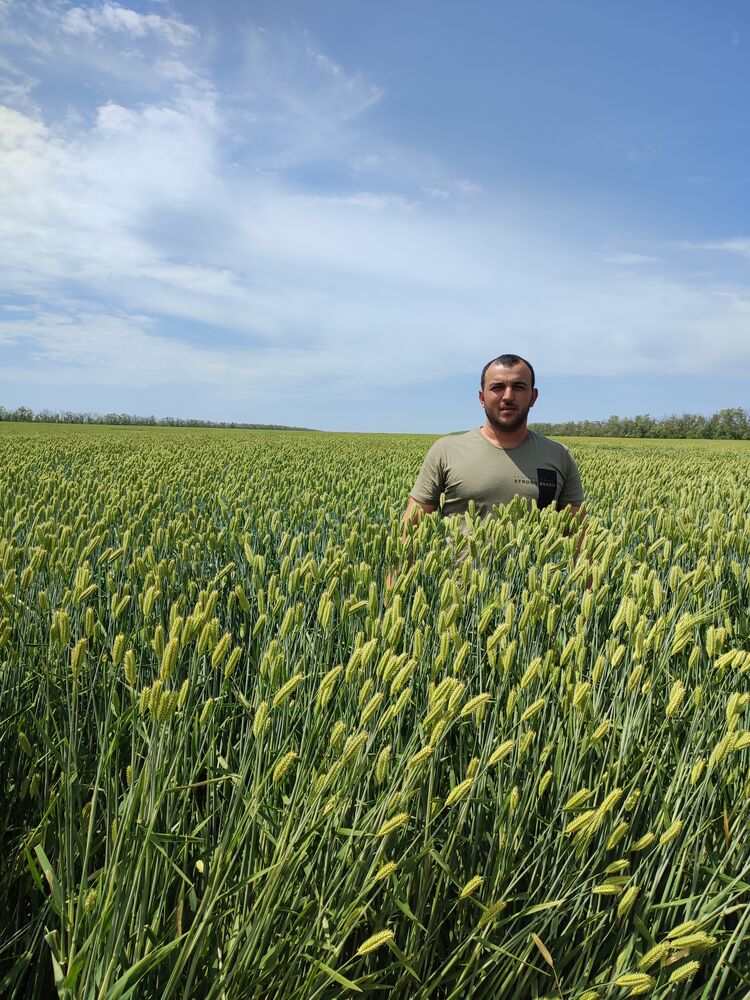  28465055  , 34 ,    --