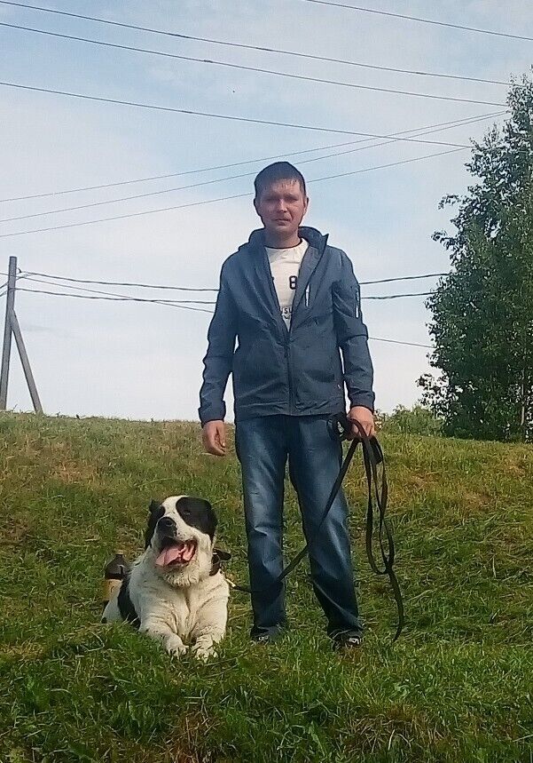 ���� 27848785 ������� �������, 44 ����, ���� ���������� � �������������