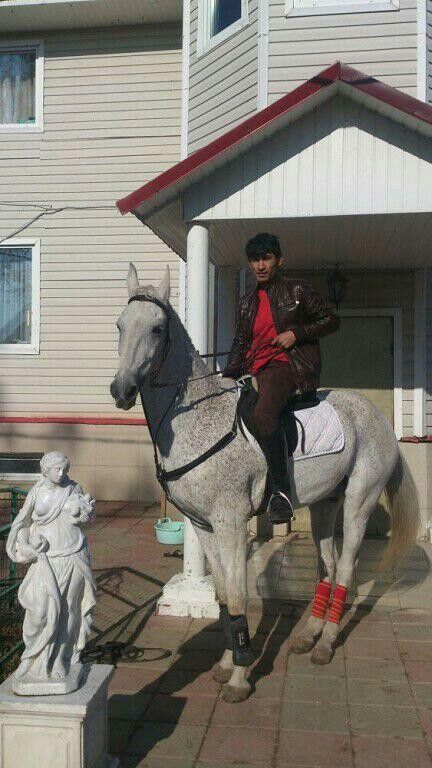 ���� 9543775 ������� ���, 36 ���, ���� ���������� � ������