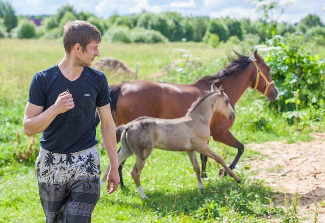  36776735  Naga Yura, 31 ,    -