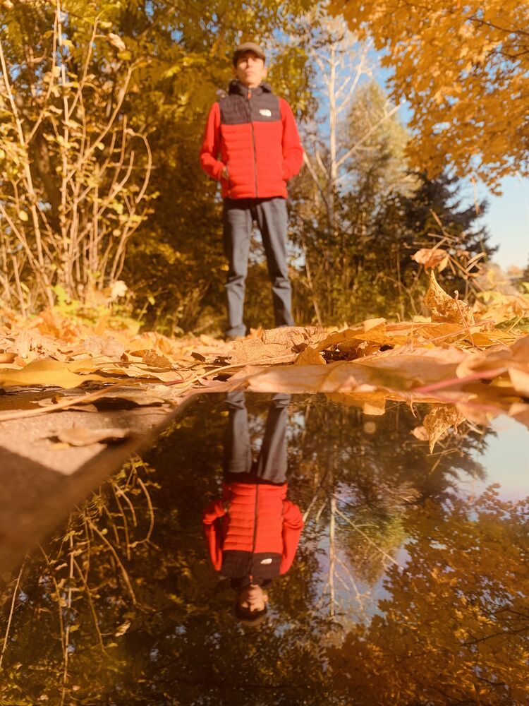 ���� 24117425 ������� ������, 29 ���, ���� ���������� � ��������