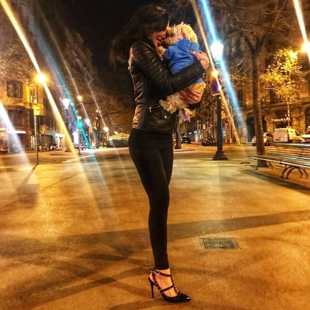 ���������� ������, ���� ������� �����, 26 ���, ������������ ��� ������, ����� � ���������