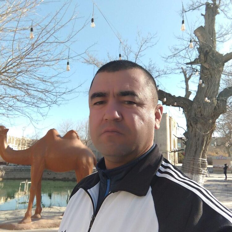 ���� 34386335 ������� ���, 45 ���, ���� ���������� � ������