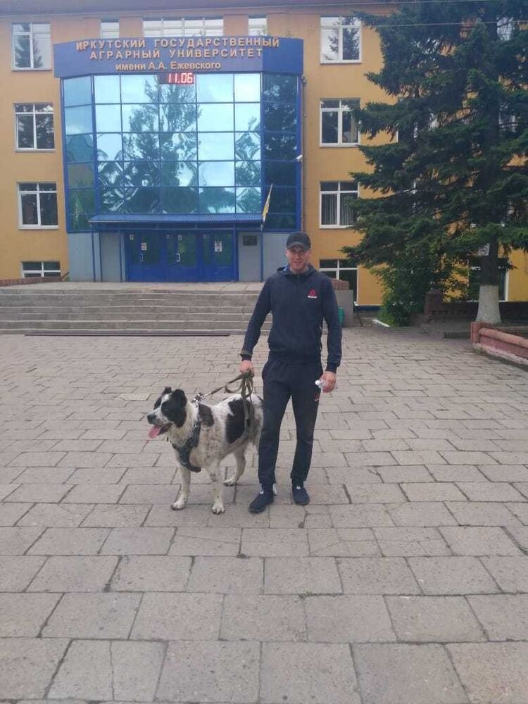 ���� 16432835 ������� ����, 33 ����, ���� ���������� � ������