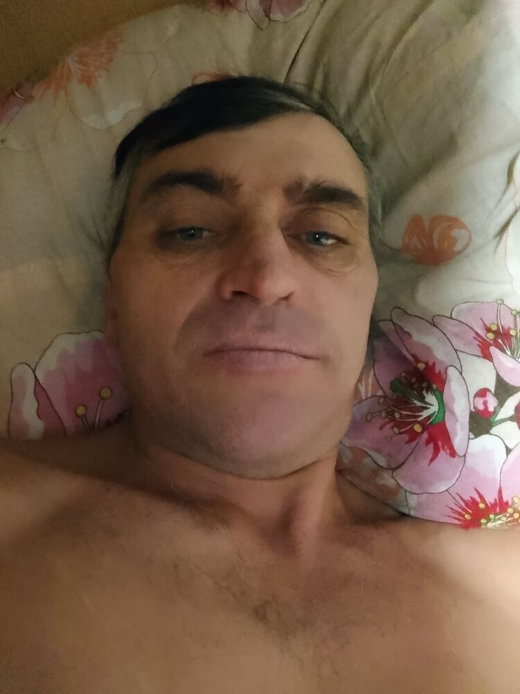 41328785  , 43 ,    