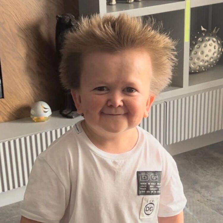 ���������� �����-���������, ���� ����� �������, 24 ����, ������������ ��� ������, ���������