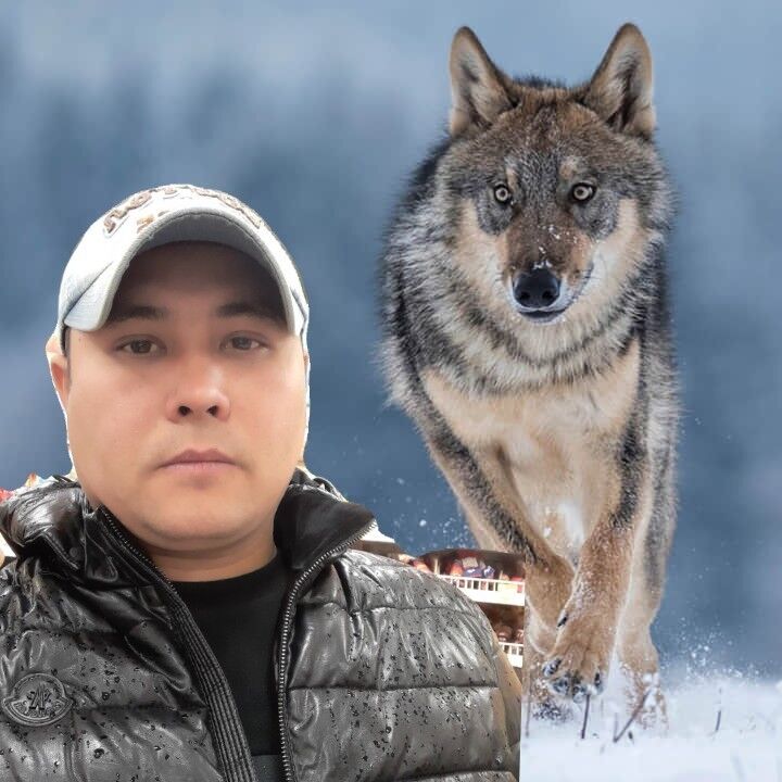 ���� 19152545 ������� ��������, 36 ���, ���� ���������� � �����-����������