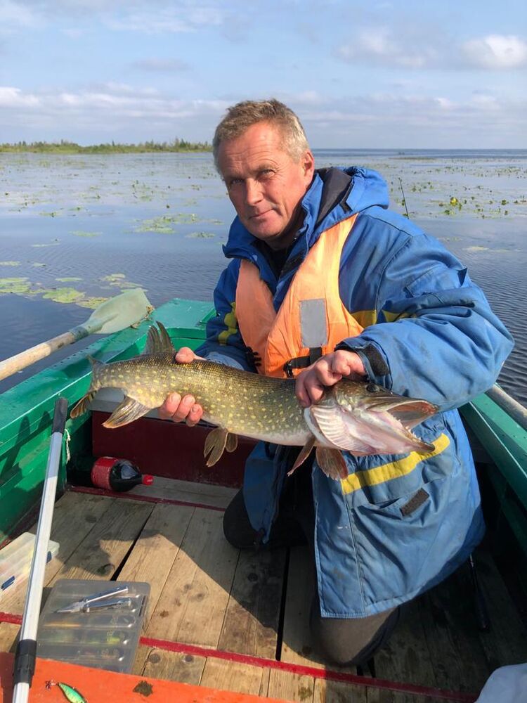 ���� 24095555 ������� ��������, 58 ���, ���� ���������� � �����-����������