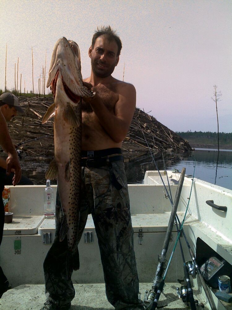  30189925  Dmitrii, 50 ,    