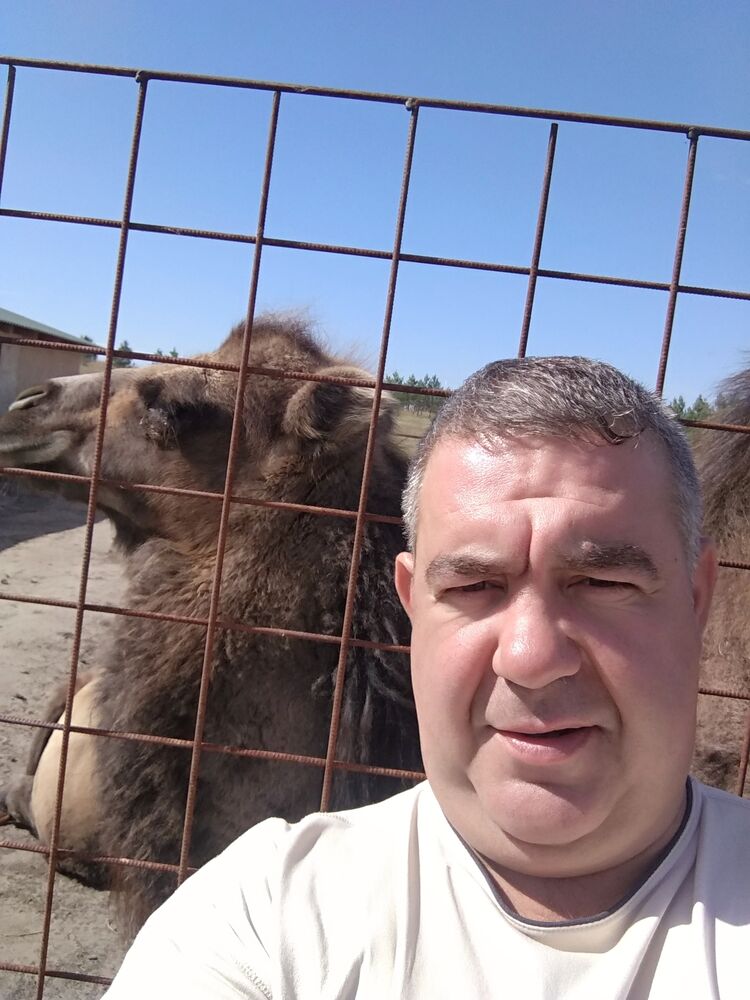 ���������� ���������, ���� ������� ������������, 50 ���, ������������ ��� ����� � ���������, c�������� ���������, ���������