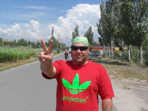 ���� 11941395 ������� �������, 43 ����, ���� ���������� � ������