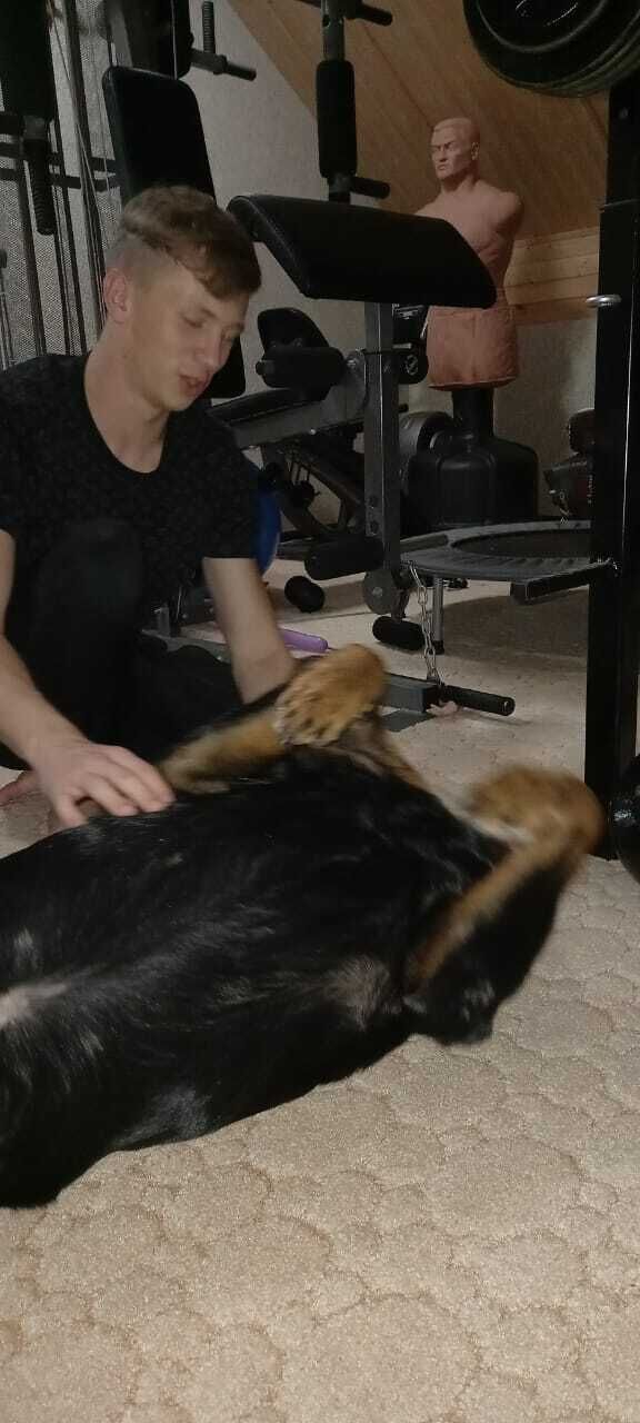 ���� 38601325 ����� ������, 20 ���, ���� ���������� � ����������