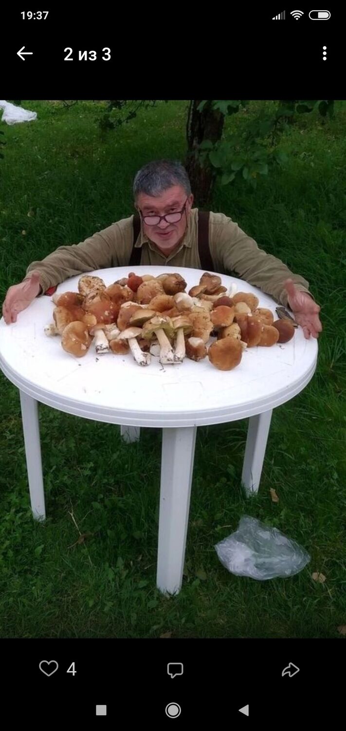 ���� 36287275 ������� �������, 53 ����, ���� ���������� � ������