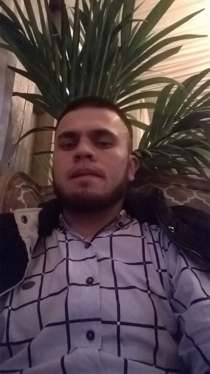  10079115  , 34 ,    -