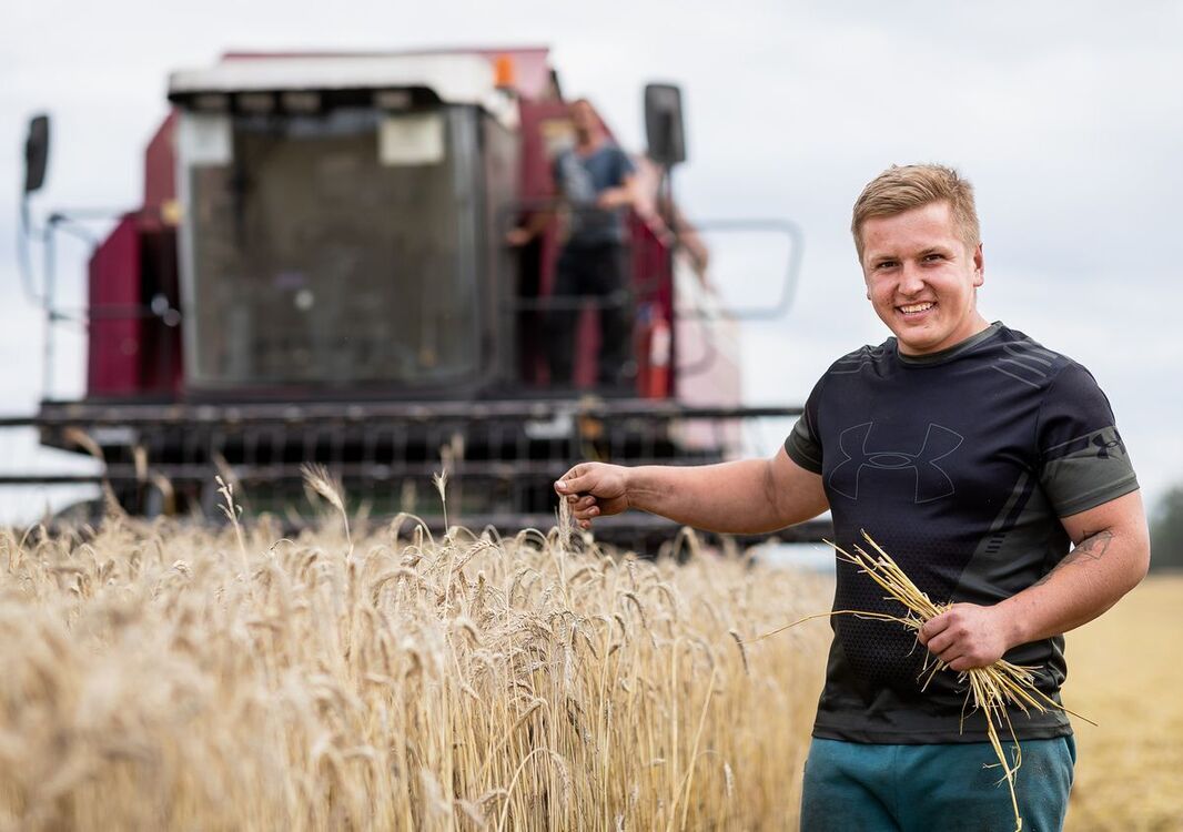 ���� 55175495 ������� ����, 55 ���, ���� ���������� � ������