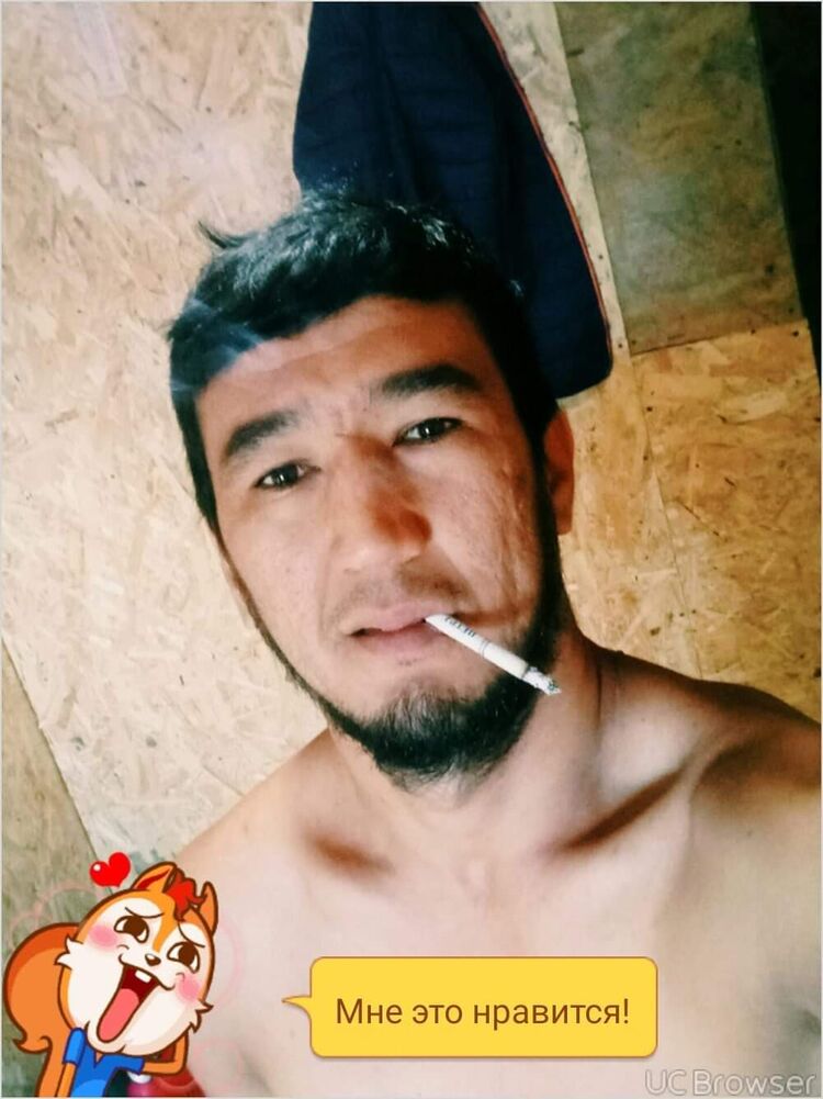  31738835  , 101 ,    