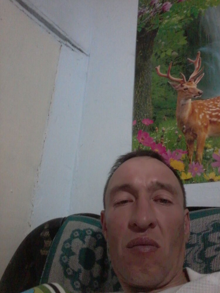  8943555  , 51 ,    