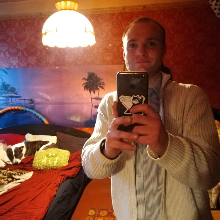  15582675  , 38 ,    
