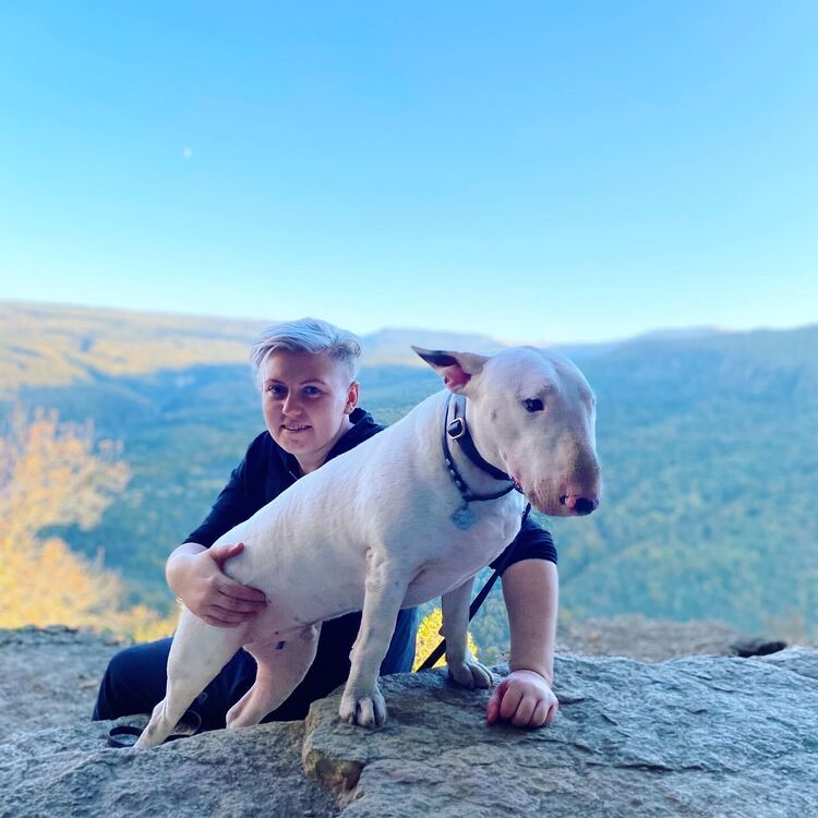 ���������� ���������, ���� ������� ������, 33 ����, ������������ ��� ������, ����� � ���������, c�������� ���������