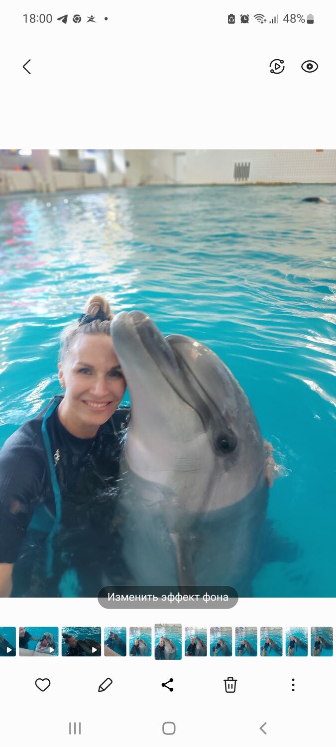 ���� 56298935 ������� �������, 46 ���, ���� ���������� � �����������