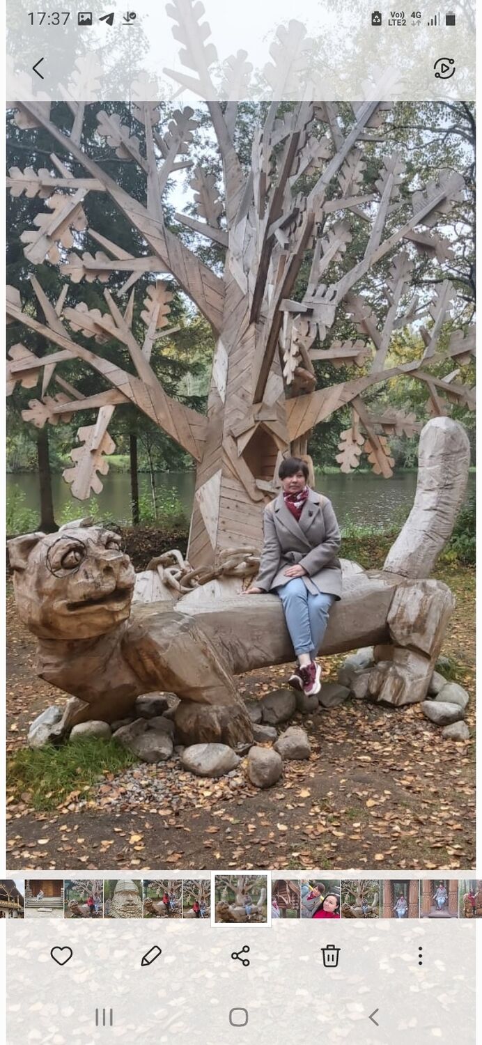  -,   , 34 ,   ,   