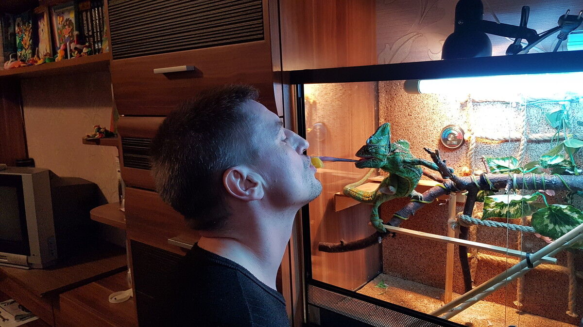 ���� 16043195 ������� ������, 46 ���, ���� ���������� � �����-����������