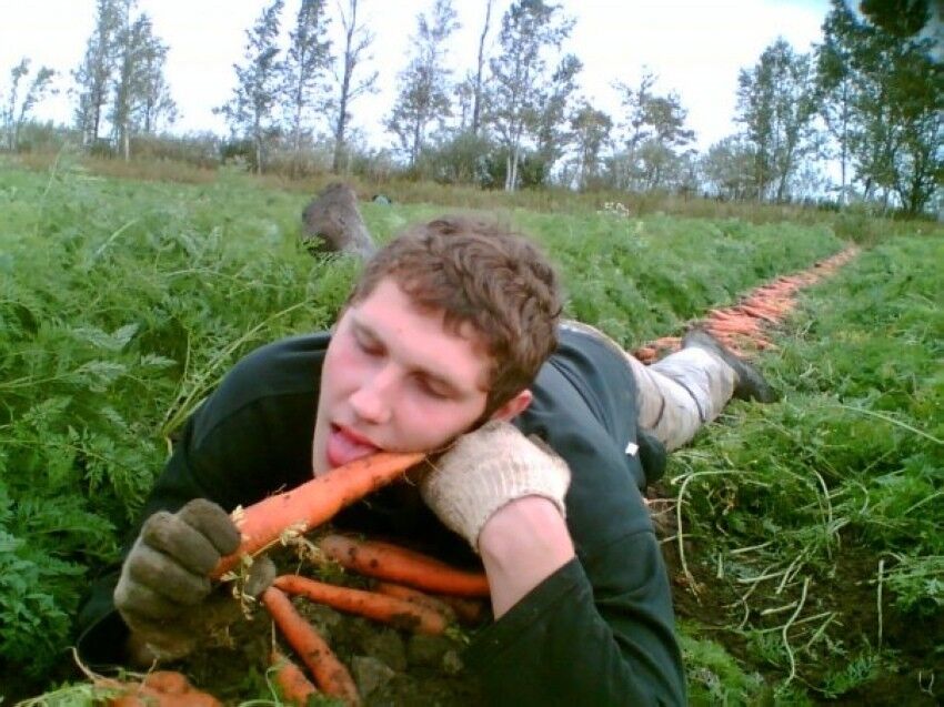 ���� 9561055 ������� �����, 26 ���, ���� ���������� � ���������������