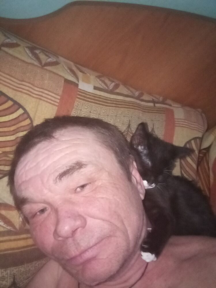  ,   , 51 ,   ,   
