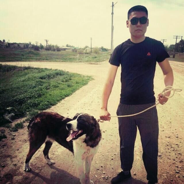 ���� 10193485 ������� �����, 30 ���, ���� ���������� � ��������