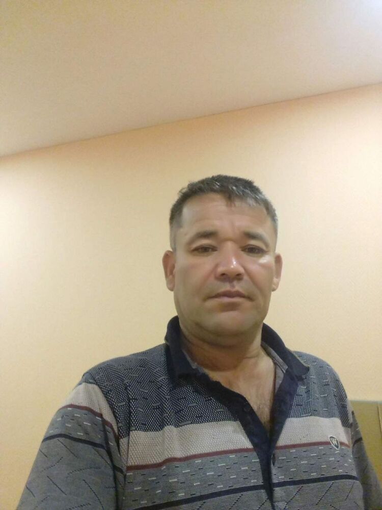  33562205   , 47 ,    