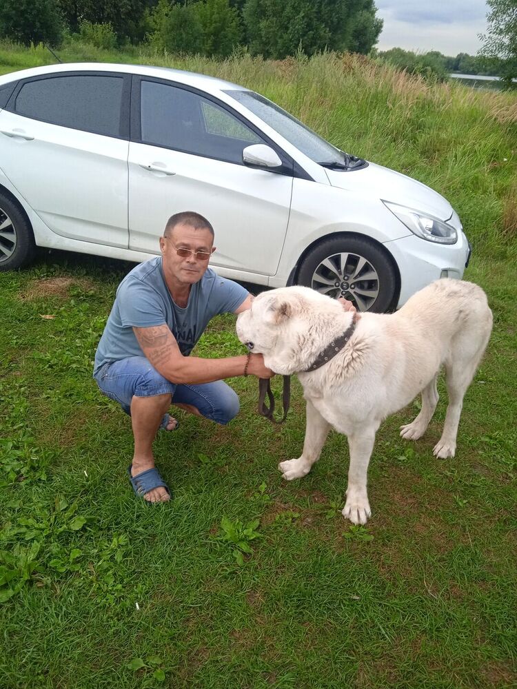 ���� 45131525 ������� �������, 44 ����, ���� ���������� � ������