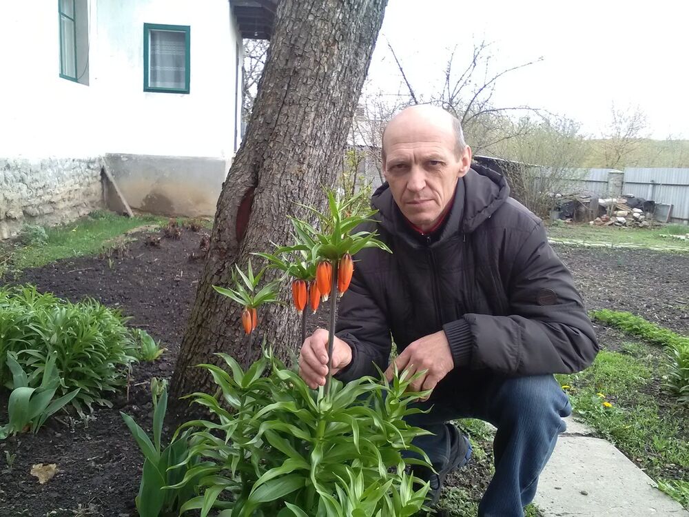  ,   , 59 ,   